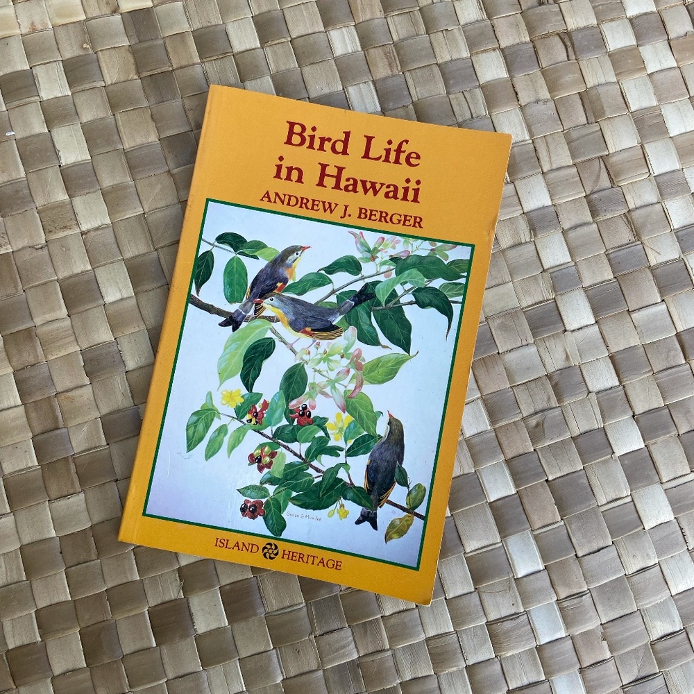 Bird Life in Hawaii